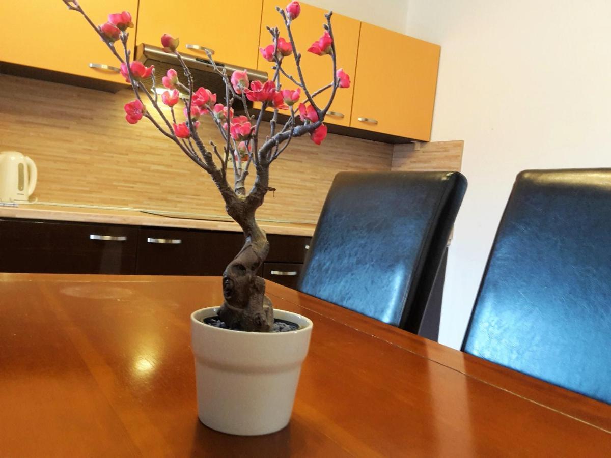 Apartman Slavkov Home & Parking Nová Lesná 외부 사진